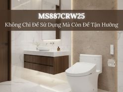 MS887CRW25 – Không Chỉ Để Sử Dụng Mà Còn Để Tận Hưởng