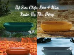 Khám Phá Chậu Rửa TOTO 4 Màu – Bộ Sưu Tập Lavabo Nghệ Thuật Mới