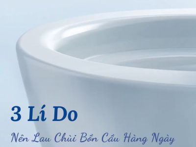 3 Lí Do Nên Lau Chùi Bồn Cầu Hàng Ngày