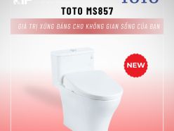 TOTO MS857